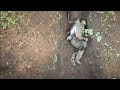 Ukraine war video footage, Russian catches and throws away Ukrainian 'drone bombs' #ukraine