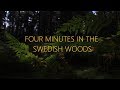 4 Minutes in the Swedish Woods