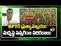 BPTకి ప్రత్యామ్నాయం మధ్యస్థ సన్నగింజ వరిరకాలు | Matti Manishi | 10TV