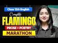 Class 12 English Complete Flamingo MARATHON | Prose + Poetry in One Shot | CBSE 2026