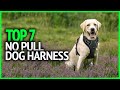 Best No Pull Dog Harness 2024 | Top 7 No Pull Dog Harness Review