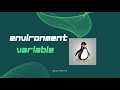 How to set environment variable in kali linux