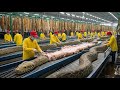Inside the Snake Leather Factory: Making a $50,000 Jacket (Full Process)