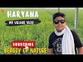 This is my village in Haryana