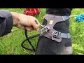 Ruffwear,  front range harness review.