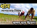 ধান লাগানোর সঠিক নিয়ম | ফলন বাড়াতে মেনে চলুন এই ৫টি কৌশল!