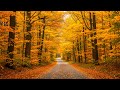 Beautiful Relaxing Music - Stop Overthinking, Stress Relief Music, Sleep Music, Calming Music