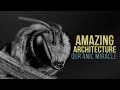 Honeybees - Amazing Architecture  (Miracle of Quran)