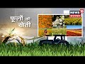 Annadata | Flower Farming से किसान कमा सकते हैं मुनाफा, जानिए कौन सा फूल फायदेमंद | Latest News