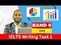 IELTS Writing Task 1: Everything you need to know