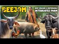 Beejom - Best SUSTAINABLE ORGANIC  INTEGRATED Farm