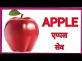 names of fruits । fruits name । फलों के नाम falon ke naam Hindi and English। free common education ।