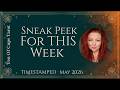 All Signs Tarot - \