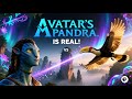 Avatar's Pandora is REAL: The Shocking Truth About Its Inspirations