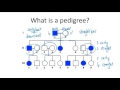 Pedigrees