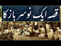 Qissa Aik Nosarbaz Ka | Story Of Fraud Man | Urdu Moral Story | Rohail Voice