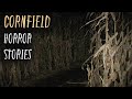 3 Terrifying TRUE Cornfield Horror Stories