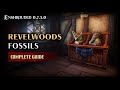 Enshrouded | All Fossils in the Revelwoods Biome