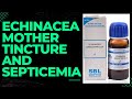 echinacea aungustrifolia Q  and septicemia||uses of echinacea mother tincture in septic condition !