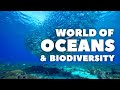 The complex World of Oceans and Biodiversity - Part 1