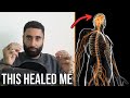GET OUT of Survival Mode (How I healed my nervous system)