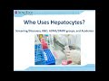 ADME 101 Guide: Which Hepatocyte Test System Should I Use?