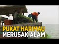 Jala Pukat harimau yang dapat merusak ekosistem laut | JELAJAH