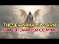 Chosen Ones: 7 Animals God Uses to Warn His Chosen Ones — Spiritual Signs of Danger!