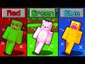Minecraft, But You Can't Touch ANY COLOR...