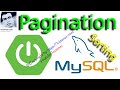 Spring Boot Pagination Filtering and Sorting Example with MySQL