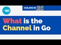 Golang हिंदी | What is the channel in go ( Hindi )