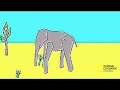 most realistic elephant programmed ever