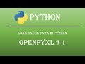 Loading Excel Data in Python: Step-by-Step Guide  Openpyxl tutorial # 1