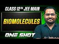 MANZIL Comeback: BIOMOLECULES in 1 Shot | All Concepts + PYQs | JEE Main