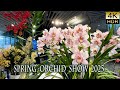【4K HDR Orchid】Spring Orchid Show 2025