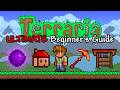The Ultimate Beginner's Guide to Terraria [spoilers]