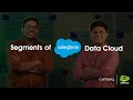 Salesforce Data Cloud Segments
