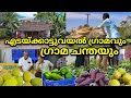 നാടൻ ഉത്പന്നങ്ങൾ മാത്രം വിൽപ്പന നടത്തുന്ന ഗ്രാമ ചന്ത | Edakkattuvayal Village | Olippuram Fileds