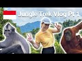 Finding Orangutans in Gunung Leuser National Park 🇮🇩 Jungle Trekking in Sumatra - Part 1 | Vlog #5