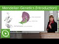 Mendelian Genetics: Introduction \u0026 Fertilization– Genetics | Lecturio