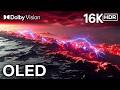 INSANE Dolby Vision Content | 16K ULTRA HD HDR TEST (120fps | OLED/QLED TV)