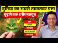 किसी संजीवनी से कम नहीं ये चीज़: 100 बीमारियों की एक दवा | हर उम्र में लाभकारी