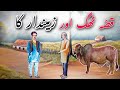 Thug or zameendar ka qissa|| urdu hindi moral story