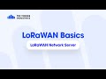 What is a LoRaWAN Network Server?