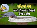 Feeding birds eliminates these 7 evils. You will be amazed to learn the benefits of feeding birds.