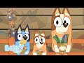 The Checkout | Hammerbarn - Series 2 | Bluey