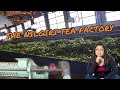 How Tea is Made | Ooty, India | Tea Factory Tour
