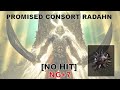 Elden Ring - Promised Consort Radahn No Hit | Star Fist Build NG+7 | Shadow of the Erdtree