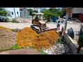 Wonderful New Project Mix! Landfill Delete Flooded Area Using Skill Dozer Pushing Soil with Trucks