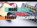 Fender Telecaster \u0026 Moog Sirin